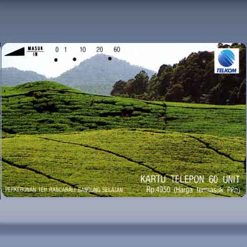 Perkebunan Teh